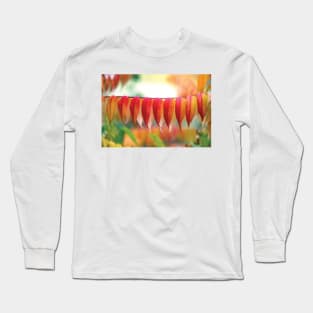 Virginia Sumac Leaves Long Sleeve T-Shirt